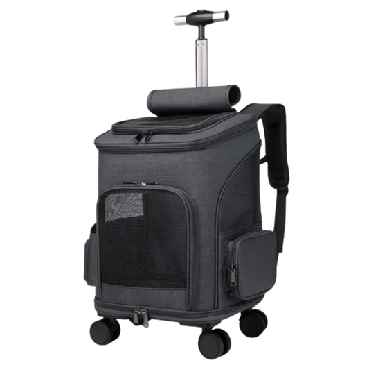 Convertible Pet Travel Bag