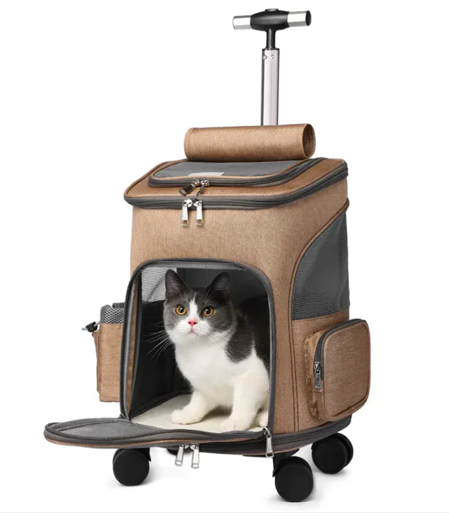 Convertible Pet Travel Bag