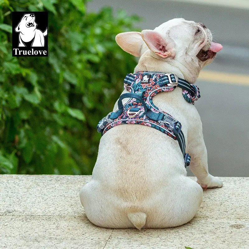 Pet Harness