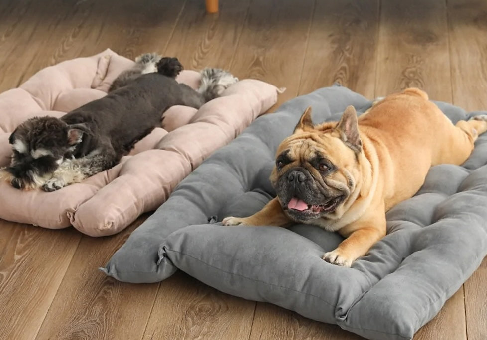 Super Soft Pet Sleeping Bed